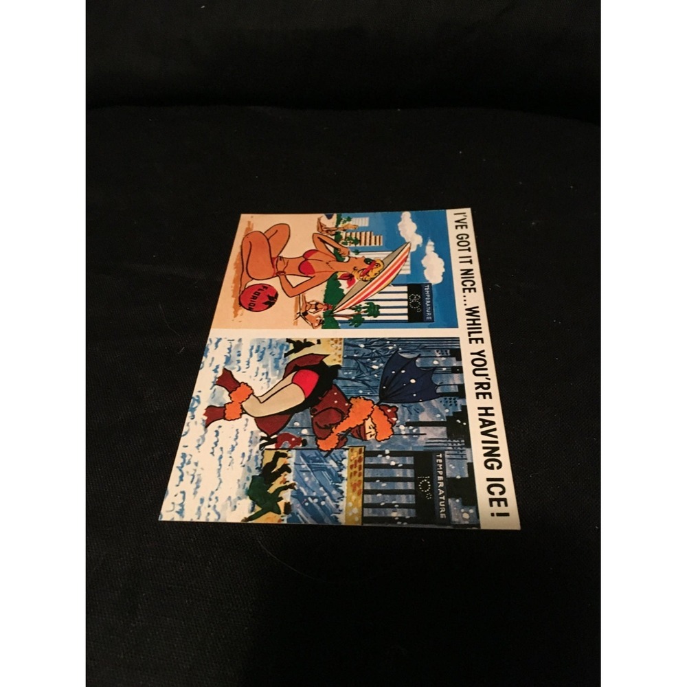 Vintage Florida pin up postcard, Humorous vintage postcard - Picture 3 of 5